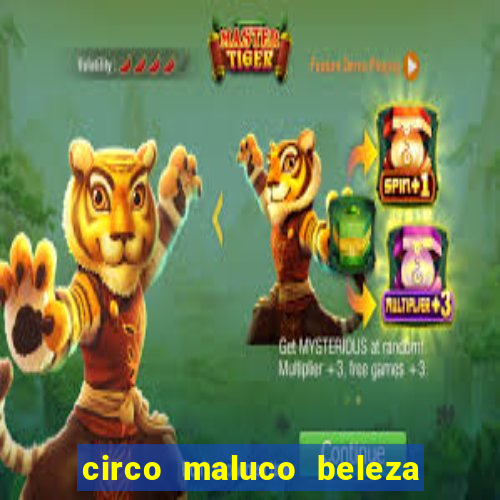 circo maluco beleza recife circo maluco